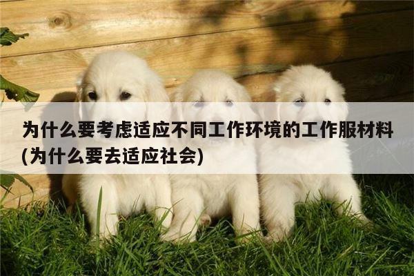 为什么要考虑适应不同工作环境的工作服材料(为什么要去适应社会)
