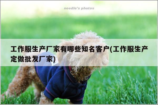 工作服生产厂家有哪些知名客户(工作服生产定做批发厂家)