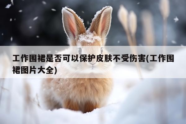 工作围裙是否可以保护皮肤不受伤害(工作围裙图片大全)