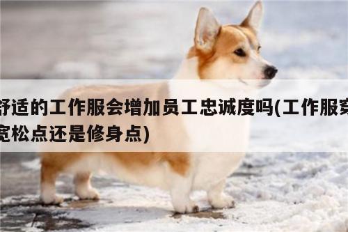 舒适的工作服会增加员工忠诚度吗(工作服穿宽松点还是修身点)