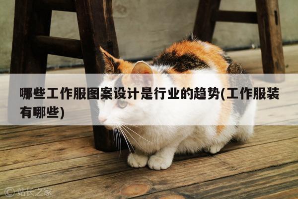 哪些工作服图案设计是行业的趋势(工作服装有哪些)