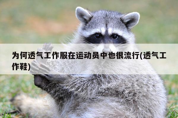 为何透气工作服在运动员中也很流行(透气工作鞋)