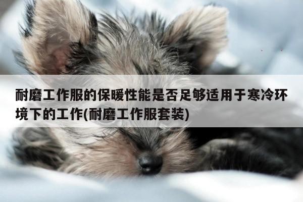 耐磨工作服的保暖性能是否足够适用于寒冷环境下的工作(耐磨工作服套装)