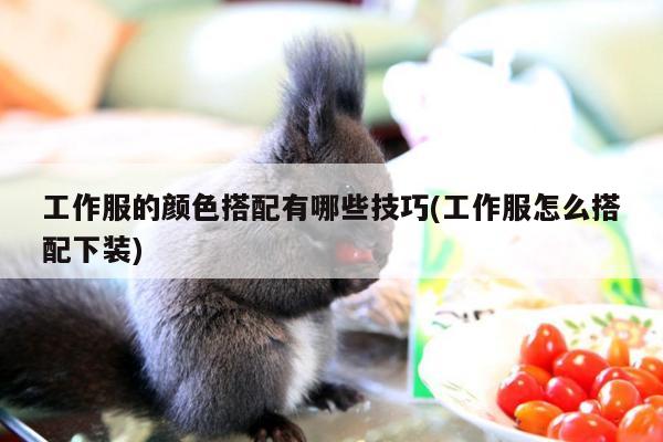 工作服的颜色搭配有哪些技巧(工作服怎么搭配下装)