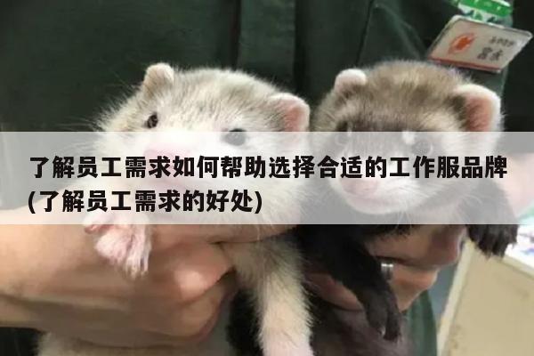 了解员工需求如何帮助选择合适的工作服品牌(了解员工需求的好处)