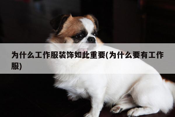 为什么工作服装饰如此重要(为什么要有工作服)|b体育官网