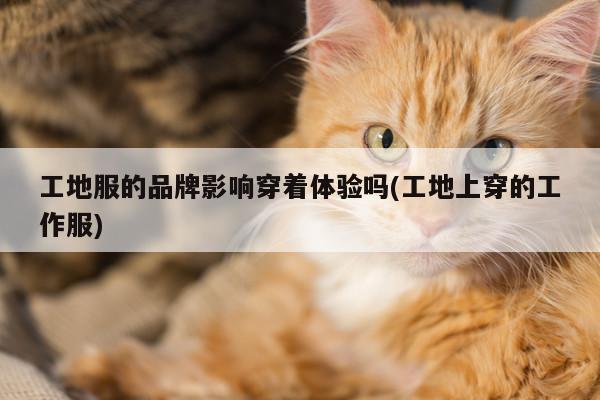 工地服的品牌影响穿着体验吗(工地上穿的工作服)|Bsport体育在线官网