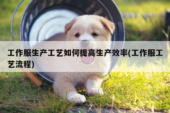工作服生产工艺如何提高生产效率(工作服工艺流程)|b体育官网