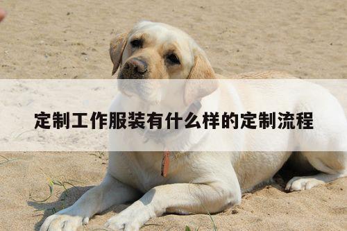 Bsport体育在线官网：定制工作服装有什么样的定制流程