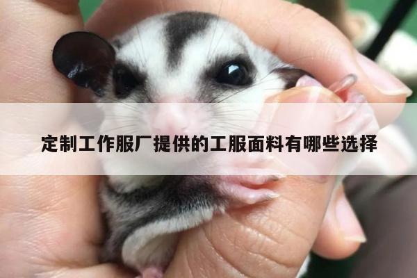 定制工作服厂提供的工服面料有哪些选择|bsport官网入口