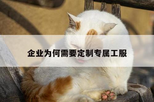 企业为何需要定制专属工服-Bsport体育在线官网