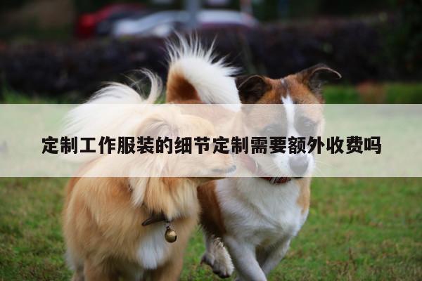 定制工作服装的细节定制需要额外收费吗【Bsports必一体育】