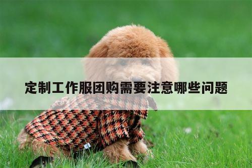 定制工作服团购需要注意哪些问题|bsport官网入口
